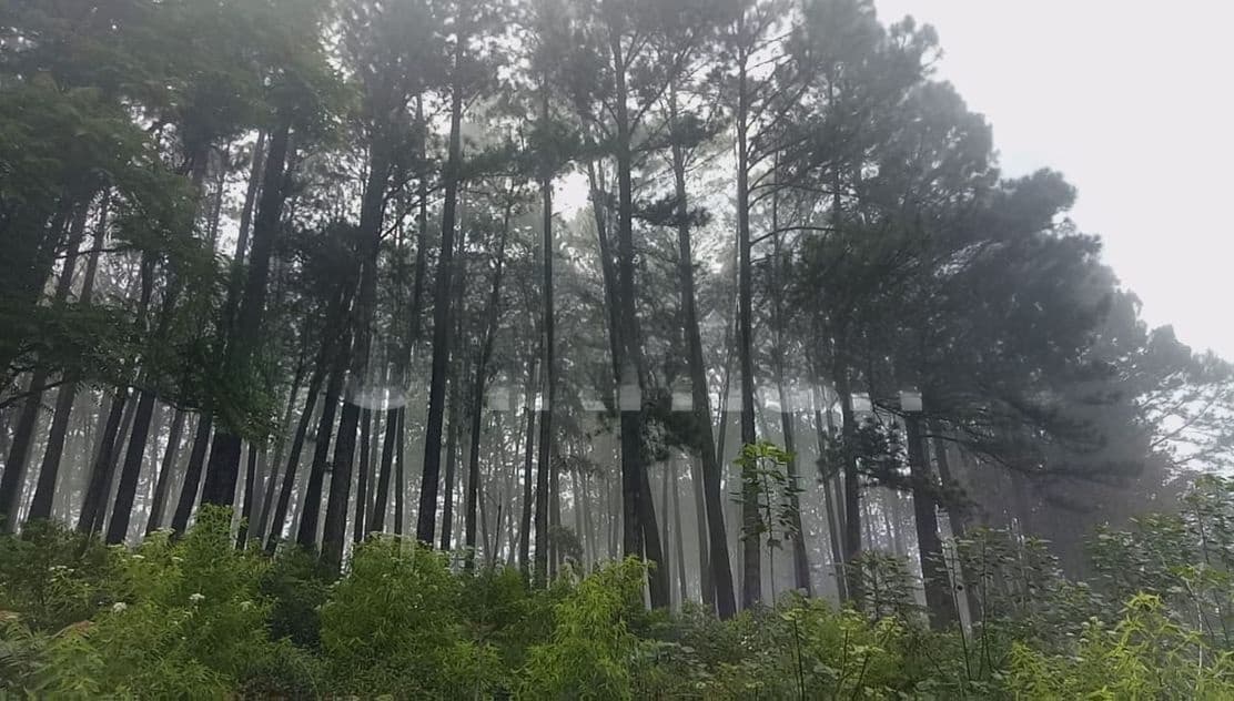 Holiday view point land for sale Nuwara Eliya Road