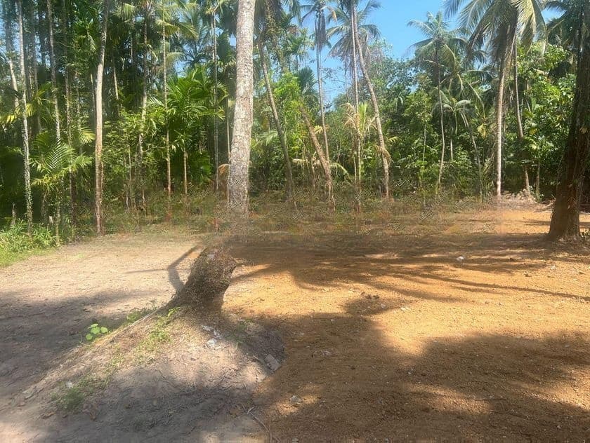 Prime 40 Perch Residential Land in Gampaha | SL14747