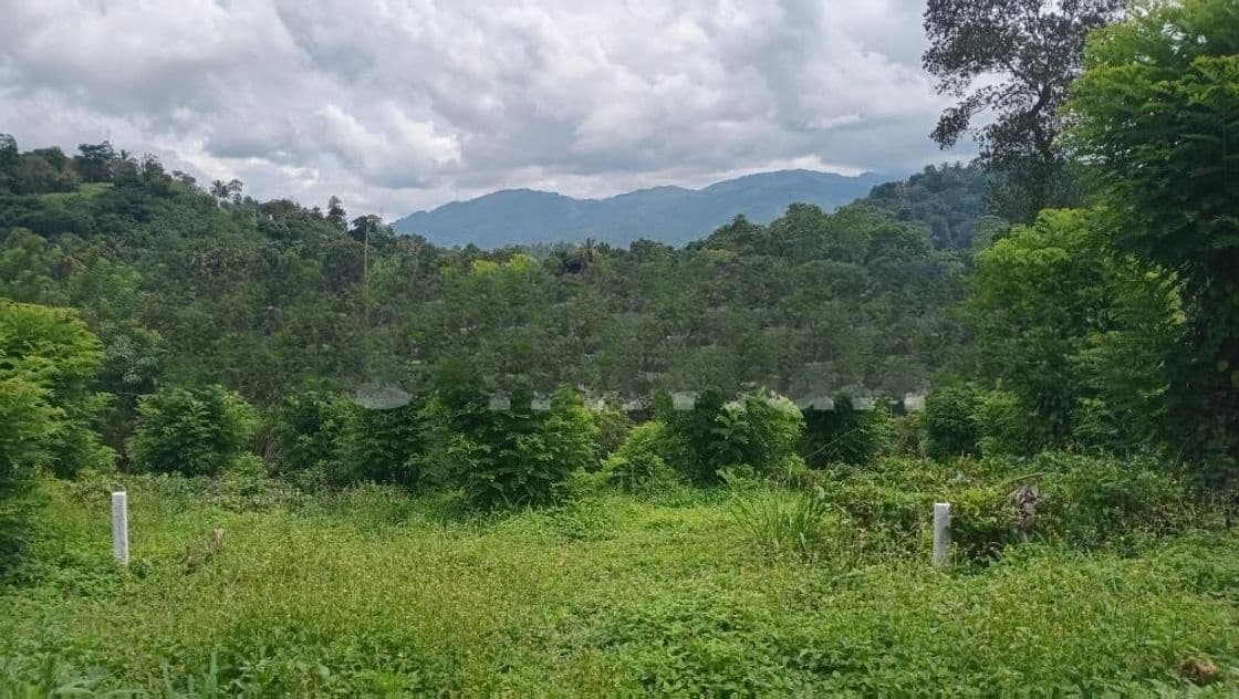 පිලිමතලාව නගරයෙන් ඉඩමක් විකිණීමට