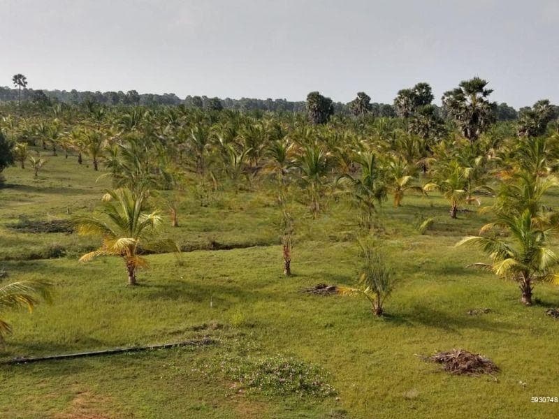 75-Acres (30 hectares) Beachfront Land For sale in Jaffna, Sri Lanka .