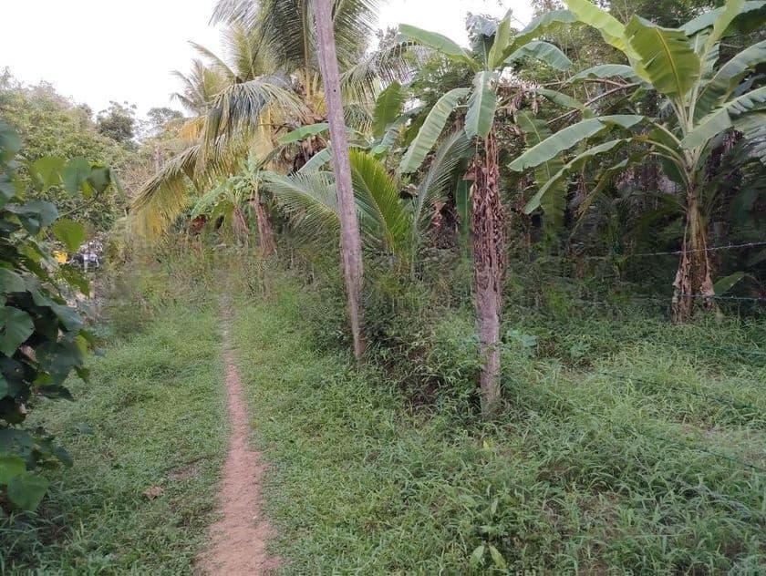 Land in Kadawatha Imbulgoda Plot 08
