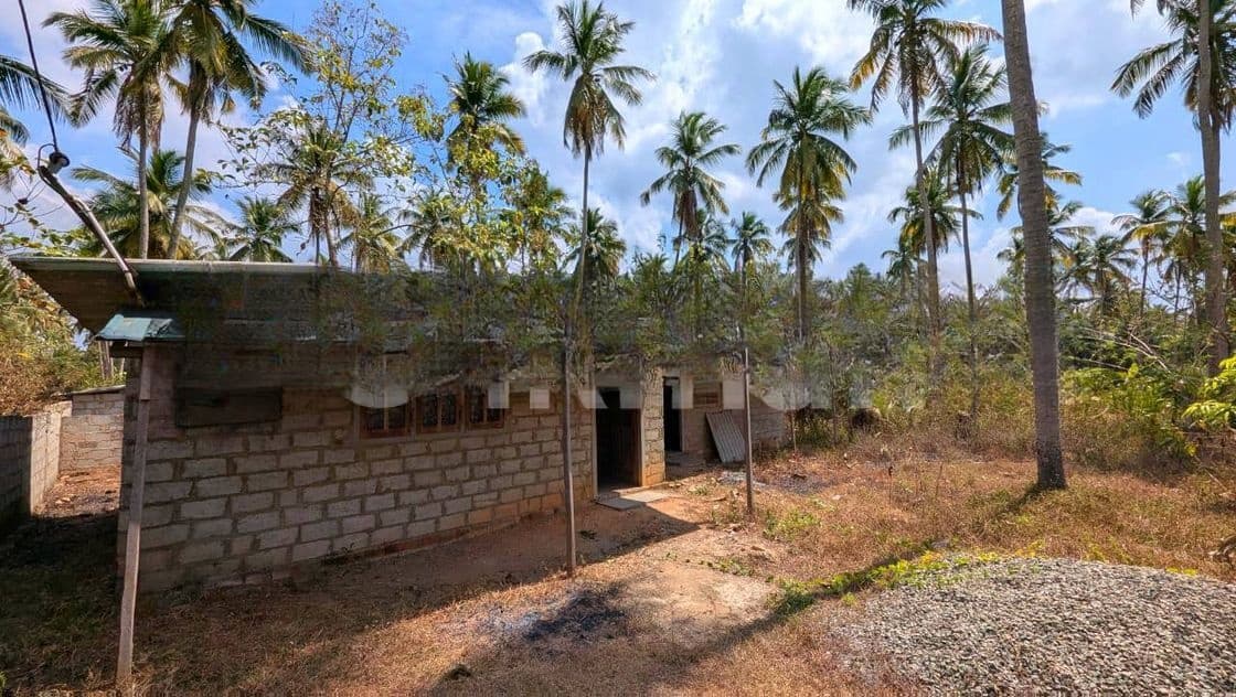 නිවසක් කීනවින්න කටුවැල්ලේගම