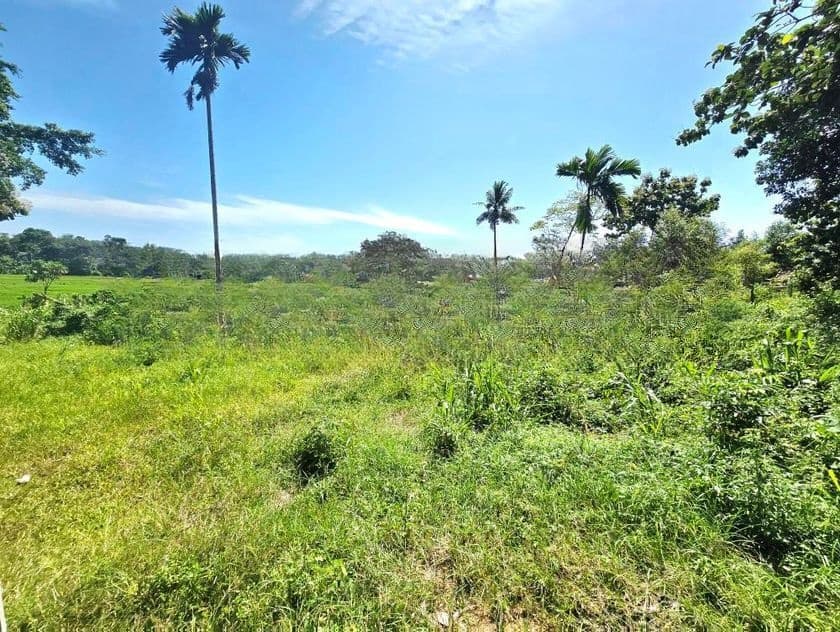 54P Paddy Field Facing Bare Land For Sale In Malabe