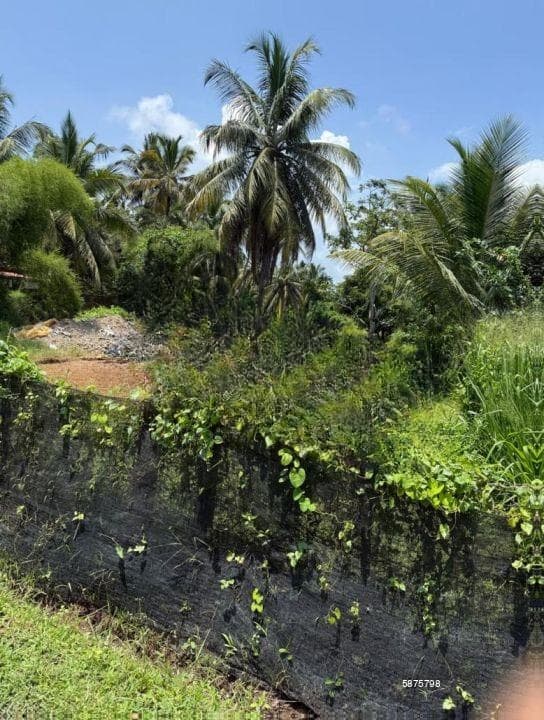 Kandana - Bopitiya Road 86 Perches of Land for Sale