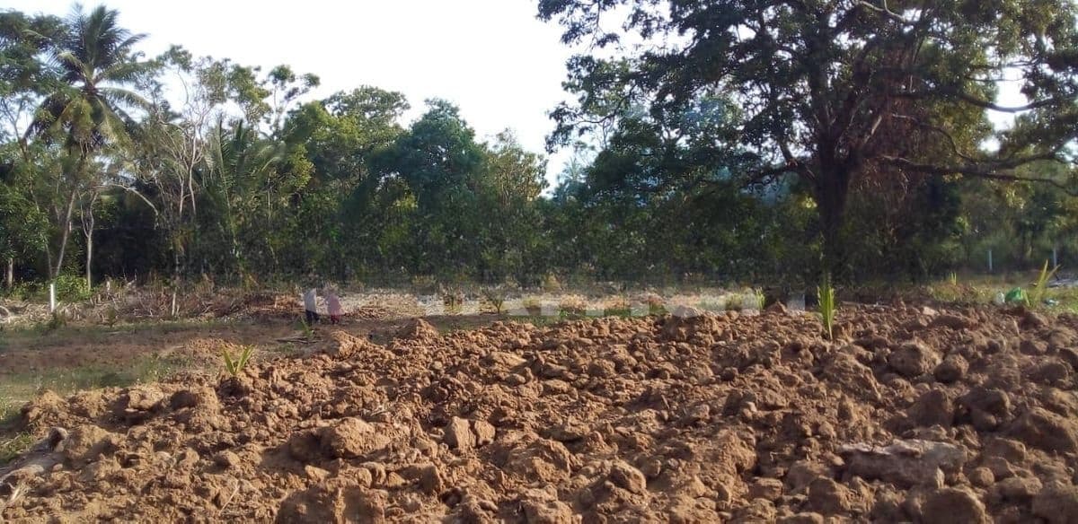 Land for Sale - Kurunegala