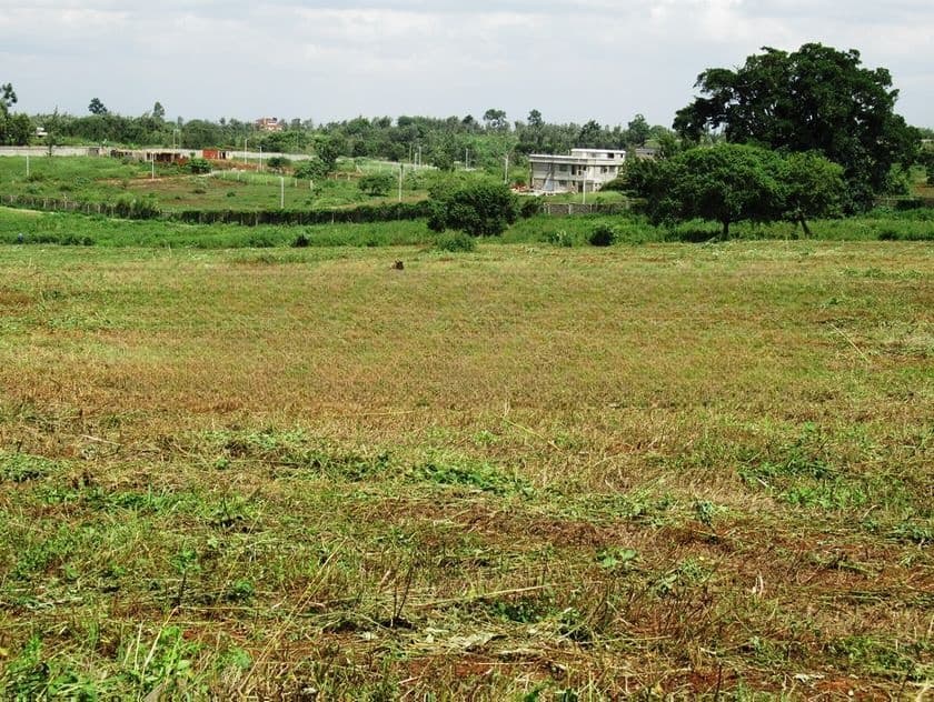LAND FOR SALE KHATHUDOWA- (LS-638)