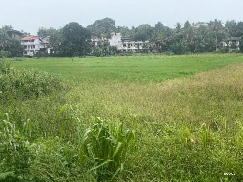 12.9 Perch Land Facing Paddy Fields | Meemanagoda road Thalawathugoda | 400 meters to 174 Bus rout