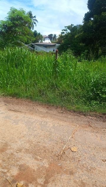 Land for Sale Thalahena