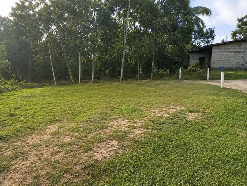 Luxurious Land Plot Kahathuduwa