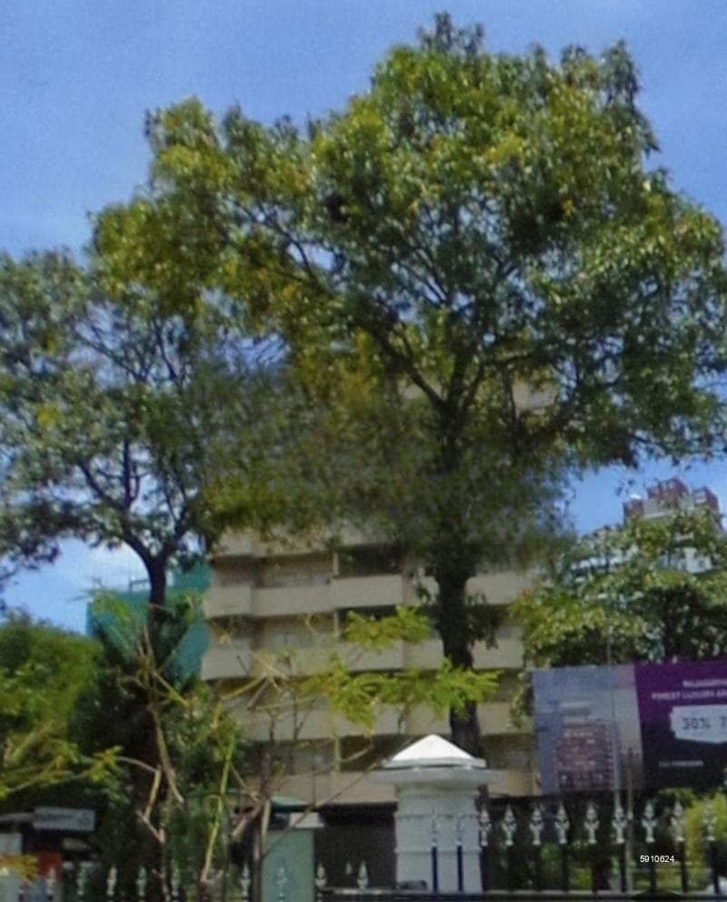 Premier Pacific Pinnacle, Colombo 7, Luxury 3 Bed Rooms Apartment For Sale