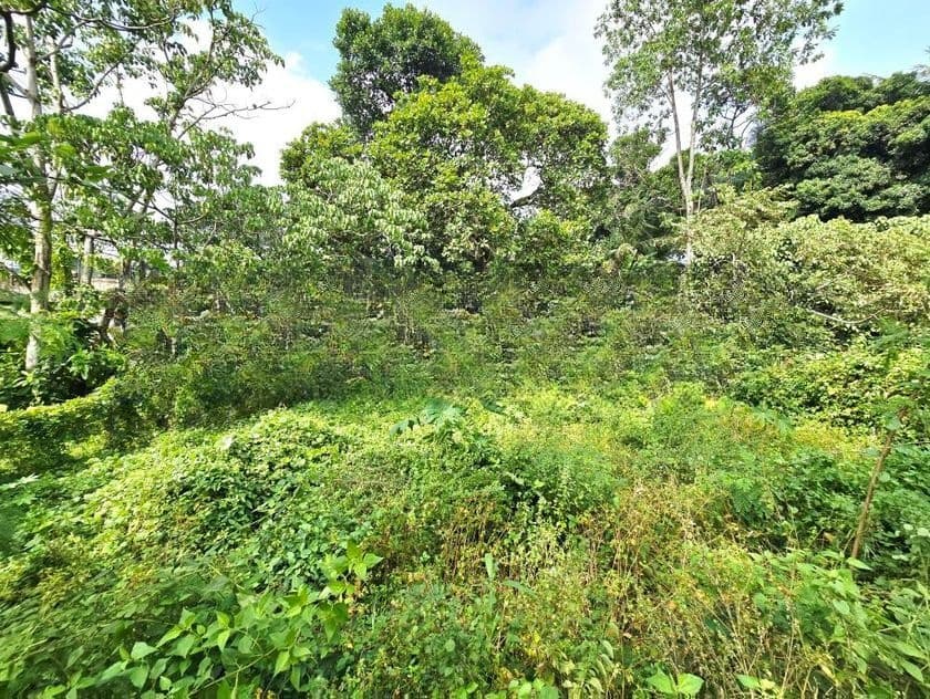 10P Bare Land For Sale In Battaramulla