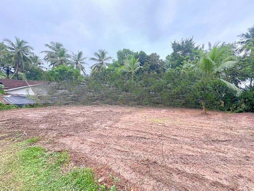 Valuable 38-Perch Land for Sale in Dunagaha, Minuwangoda