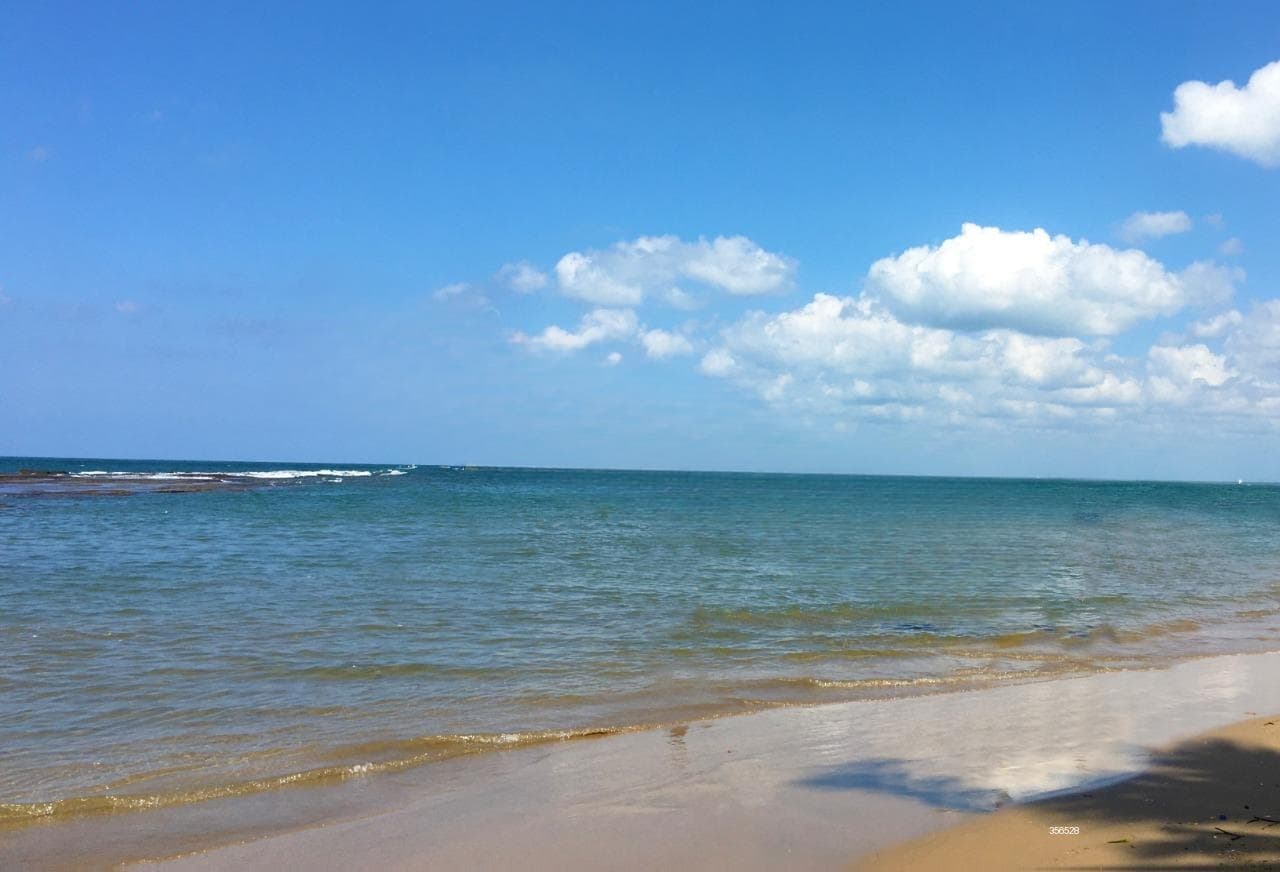 150P Beach Front Land for Sale In Negombo(SNPLL)