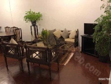 Luxury Annex, Bagathale Rd, Colombo 3 For Lomg Term Rent