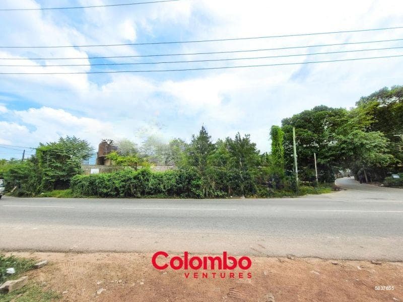 62p Akuregoda Road Frontage Land for RENT / LEASE – Akuregoda Rd (D.P.Wijesingha Mawatha) Ideal for Commercial Purpose