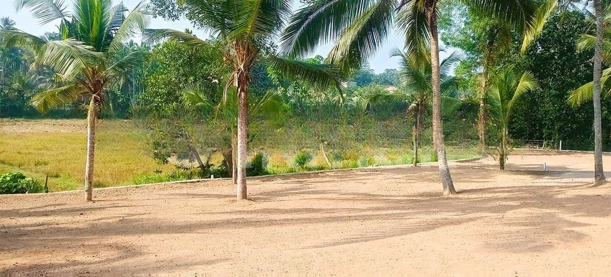 Land in Kadawata