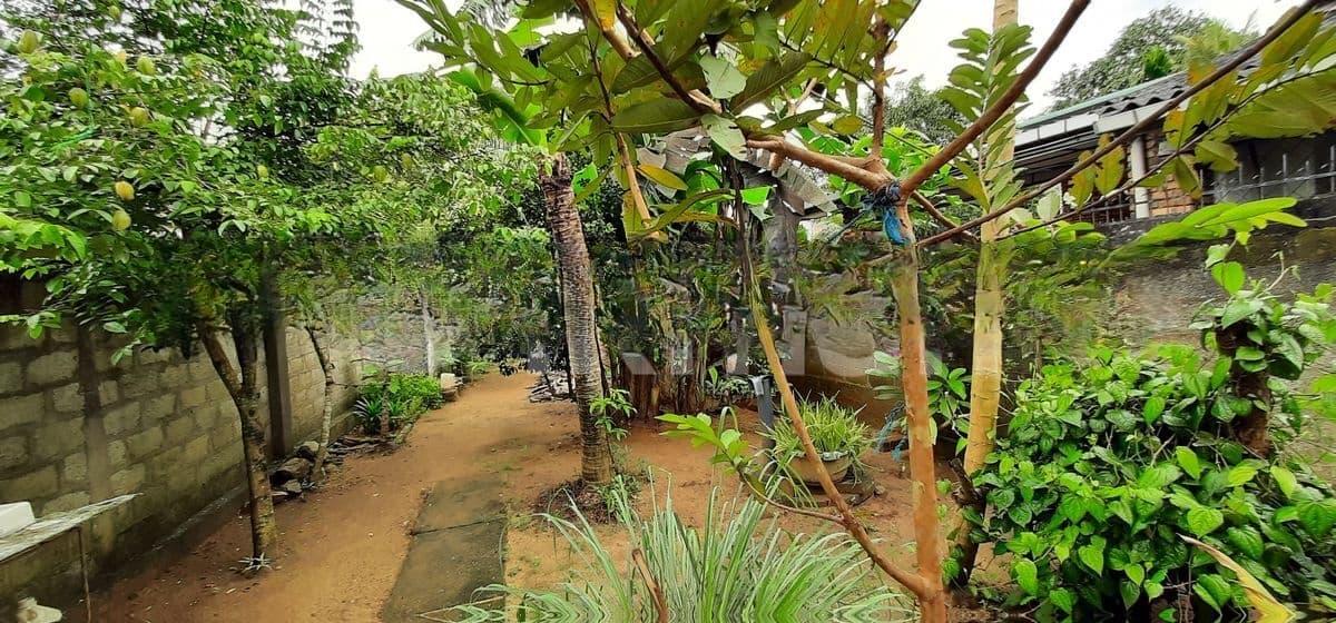 Commercial Land for Rent in Kelaniya (C7-1952)