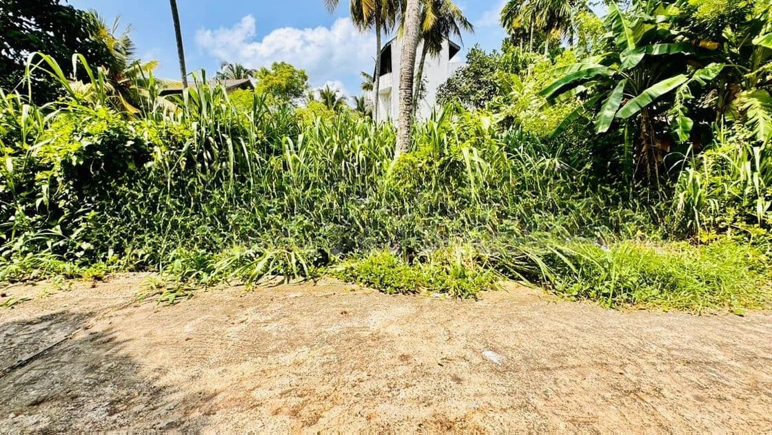 Kadawatha Ganemulla Road Land for Sale