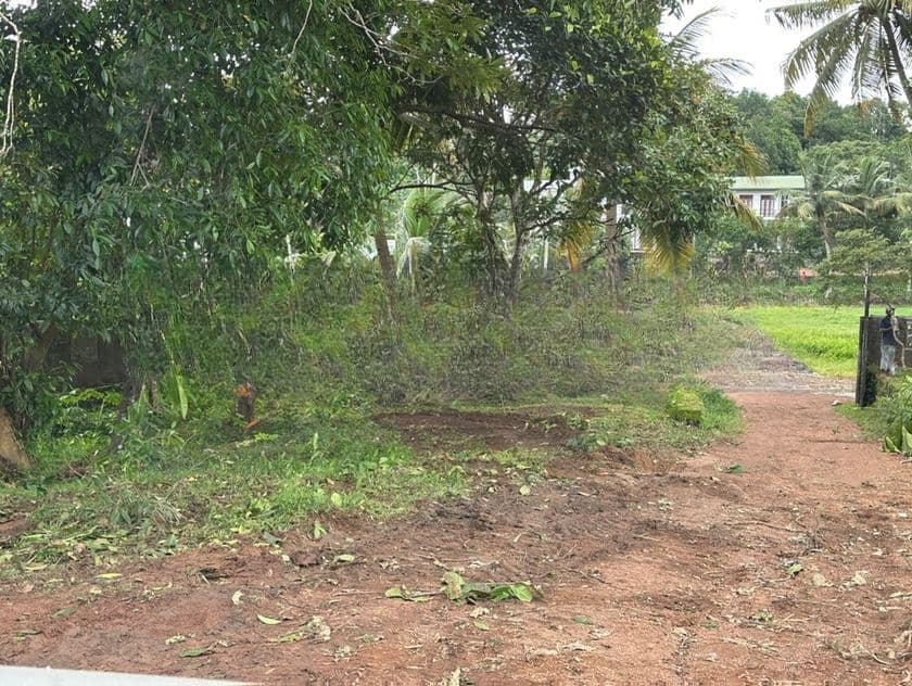 Land in Homagama