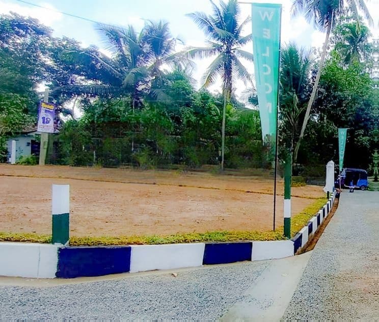Best Land for Sale in Watareka