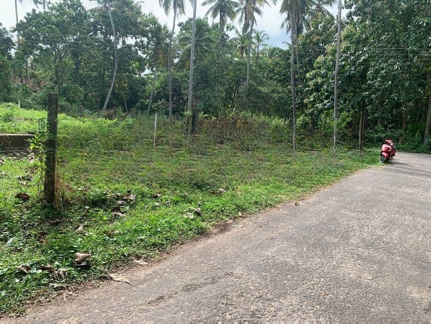 Land for Sale Demanhandiya