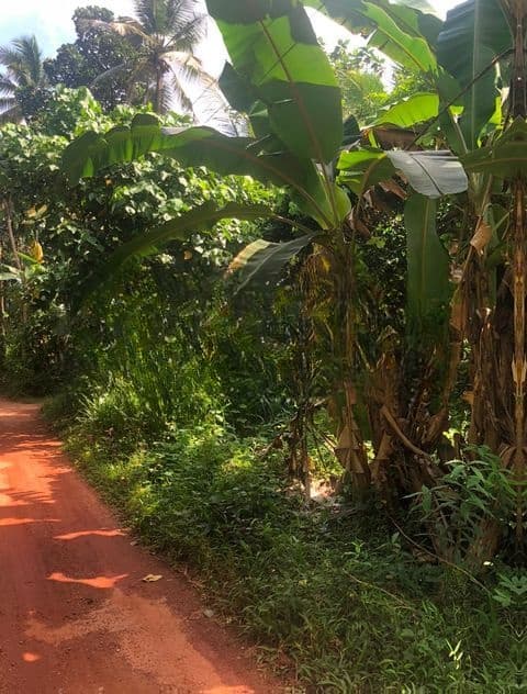 වටිනා ඉඩමක් විකිණීමට – පහලමුල්ල, ගොඩගම, එල්ලක්කල