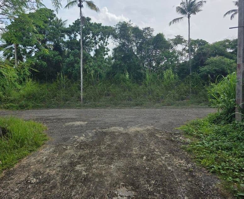 Land for sale 6.375P Gampaha - Yakkala