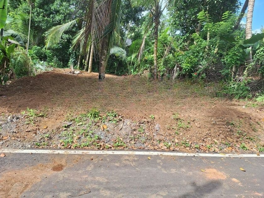 Land for Sale in Homagama