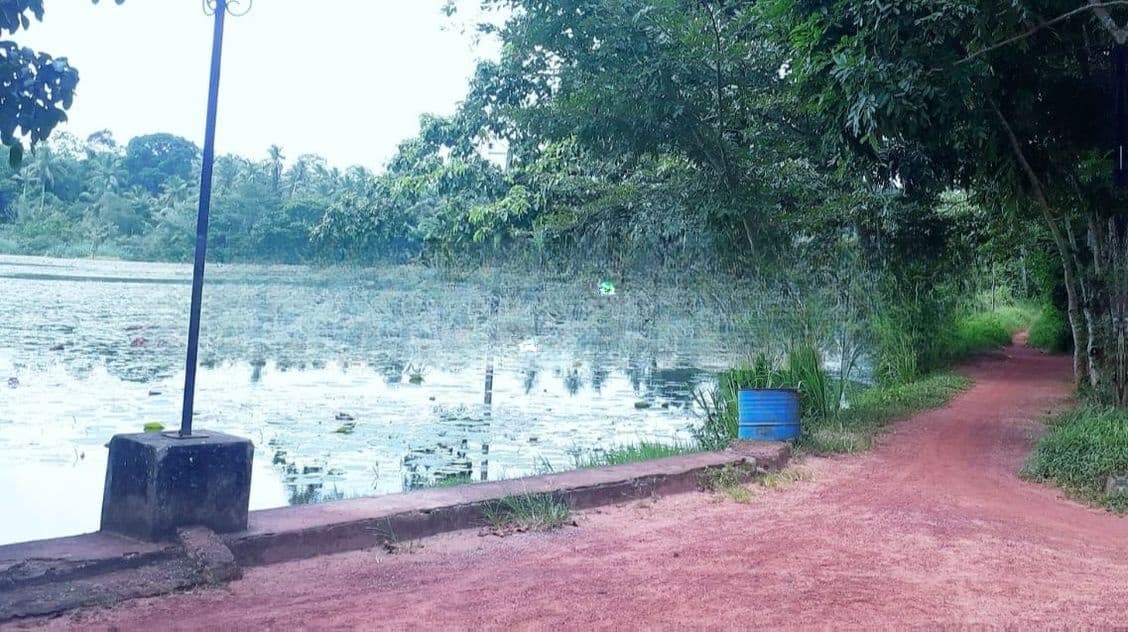 Land for Sale in Minuwangoda