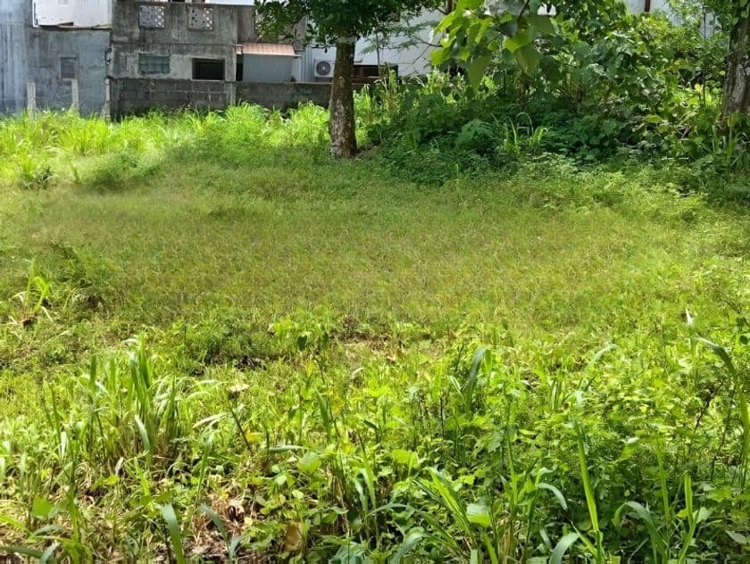 Land for Sale in Dehiwala