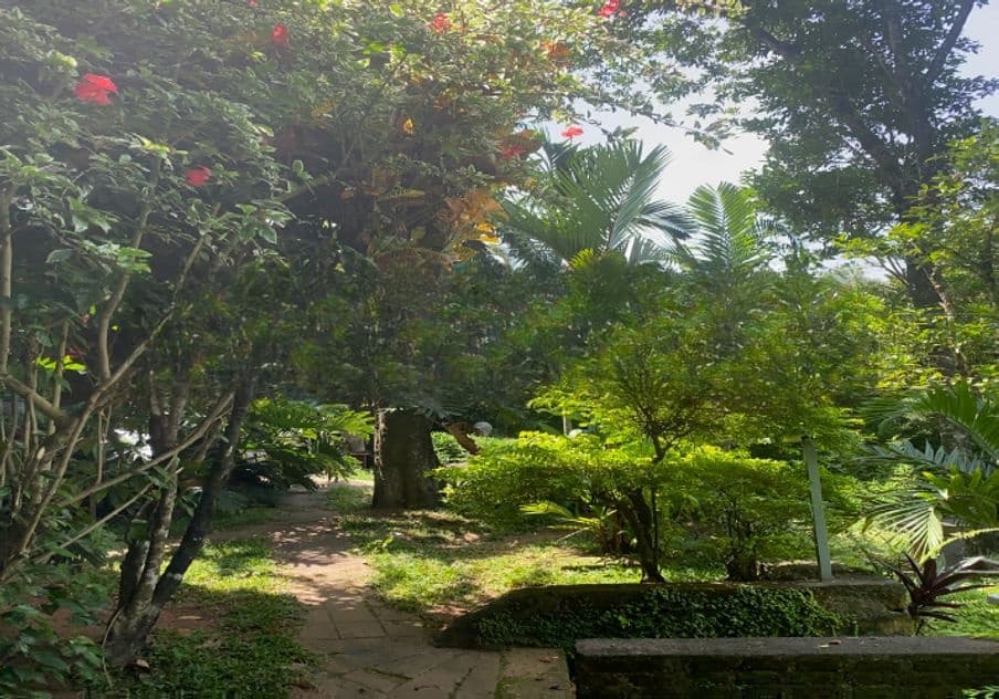 70.5P Land for Sale in Heerassagala Road, Kandy (SL 14472)
