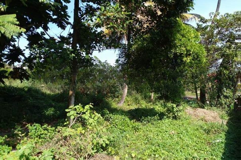 Land for Sale (code 3517) Kelaniya