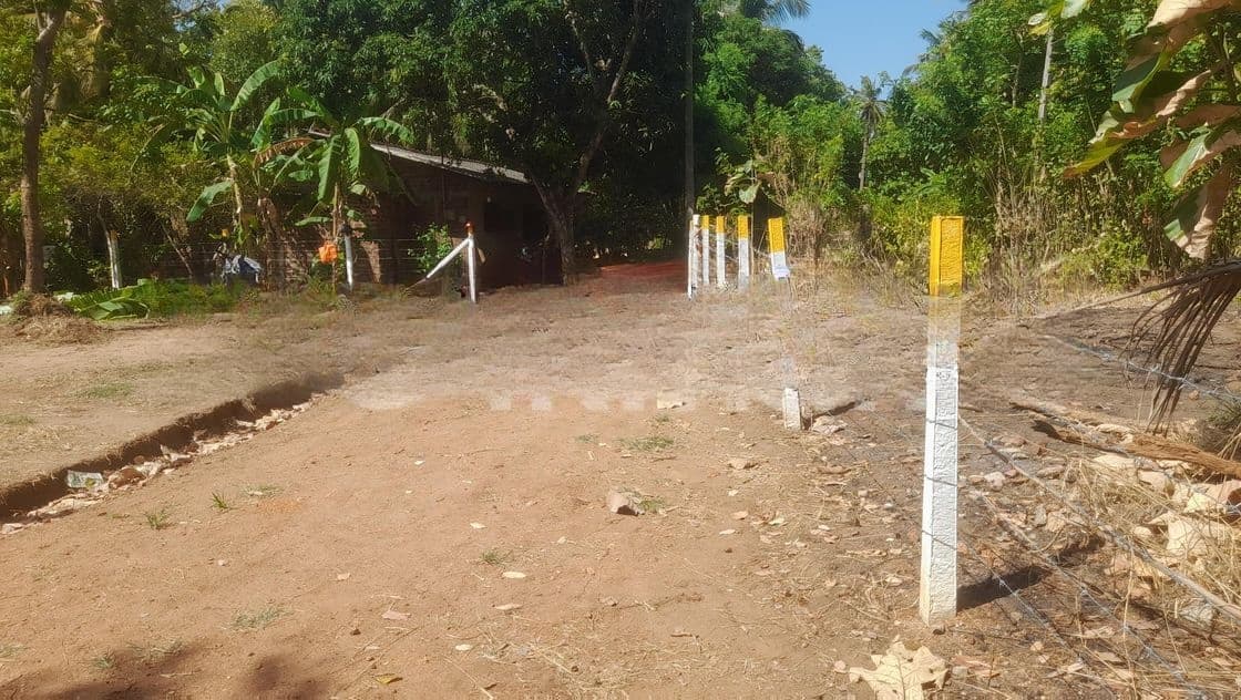 අනුරාධපුර නගරයට නුදුරින් සින්නක්කර ඉඩමක්