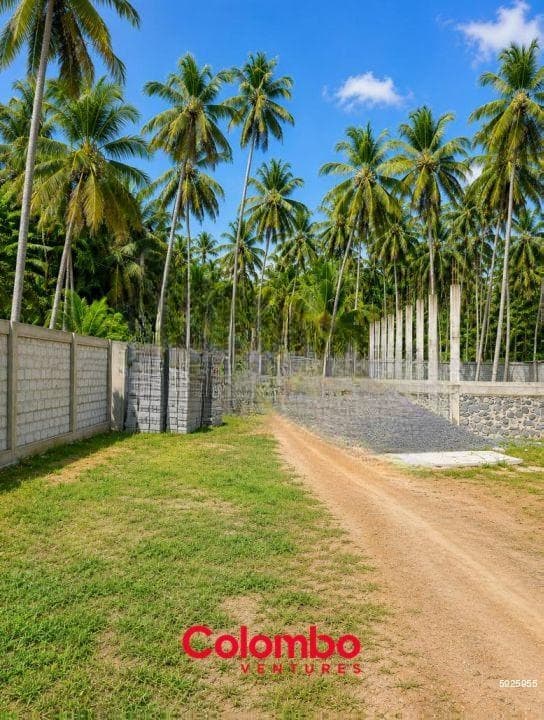 Nainamadama Land - 103p Commercial Land Facing The Beach Road for SALE - Close to Colombo-Puttalam Main Road (LS587)