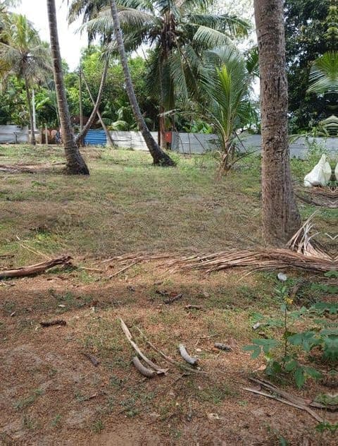 Land for Sale Jaffna