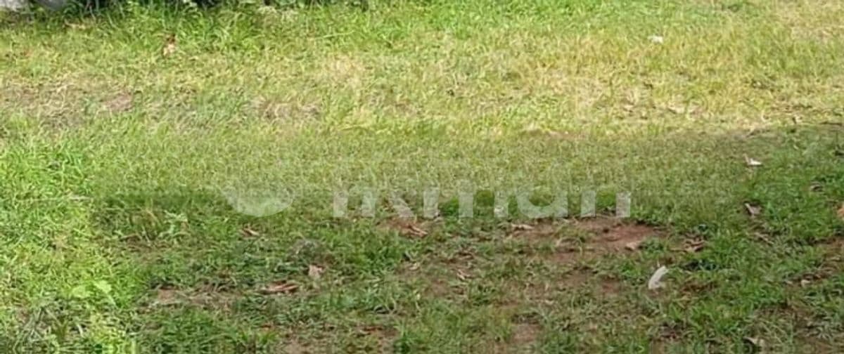 Kandy : 30 perches Land for Sale at Heerasgala