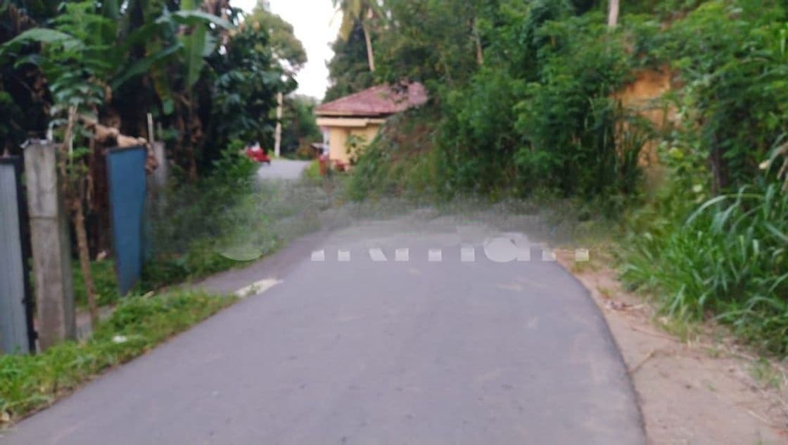 Lands for Sale in Ambathanna (Pujapitiya Road)