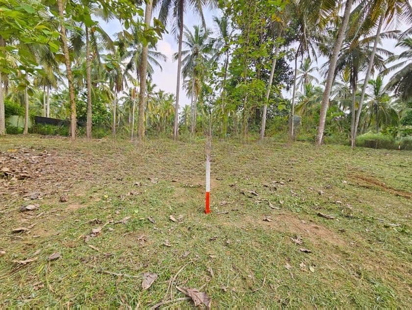 පන්නල – නුගවැල හන්දිය අසල පර්චස් 15 බිම් කොටස් විකිණීමට