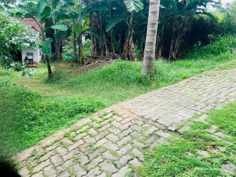14 Perches Land For Sale in Mabola, Wattala (SSPL-463)