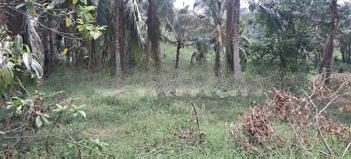 80 Perch Bare Land at Kahathuduwa