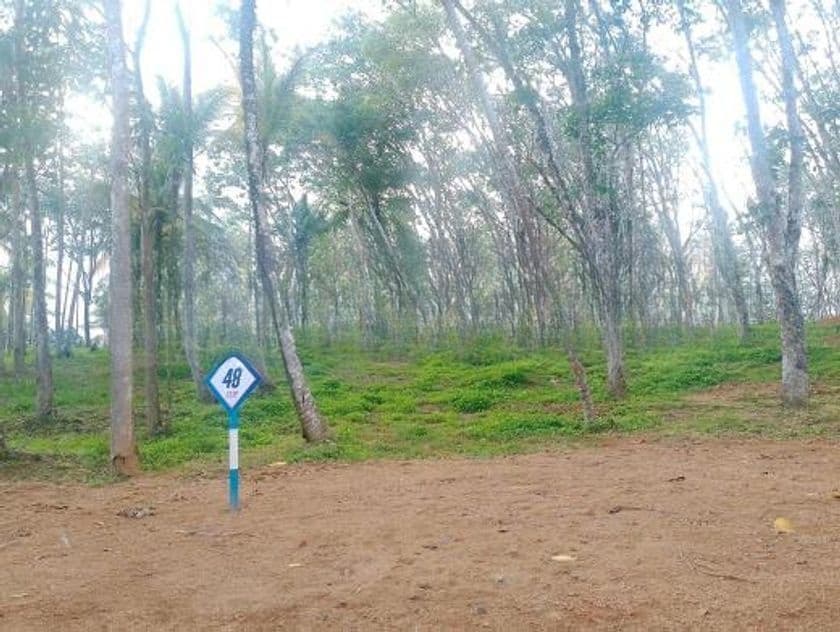 Land for Sale in Ahangama