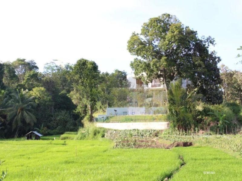 Holiday Home for Sale in Balagolla, Kandy.