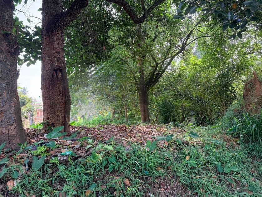 Flat Land for Sale in Watapuluwa