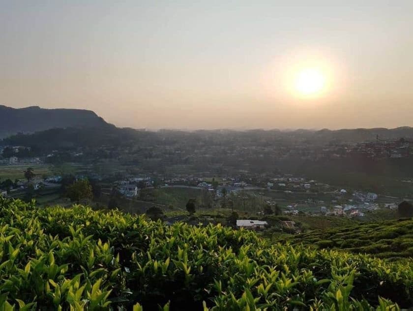 View Point Land for Sale Nuwara Eliya