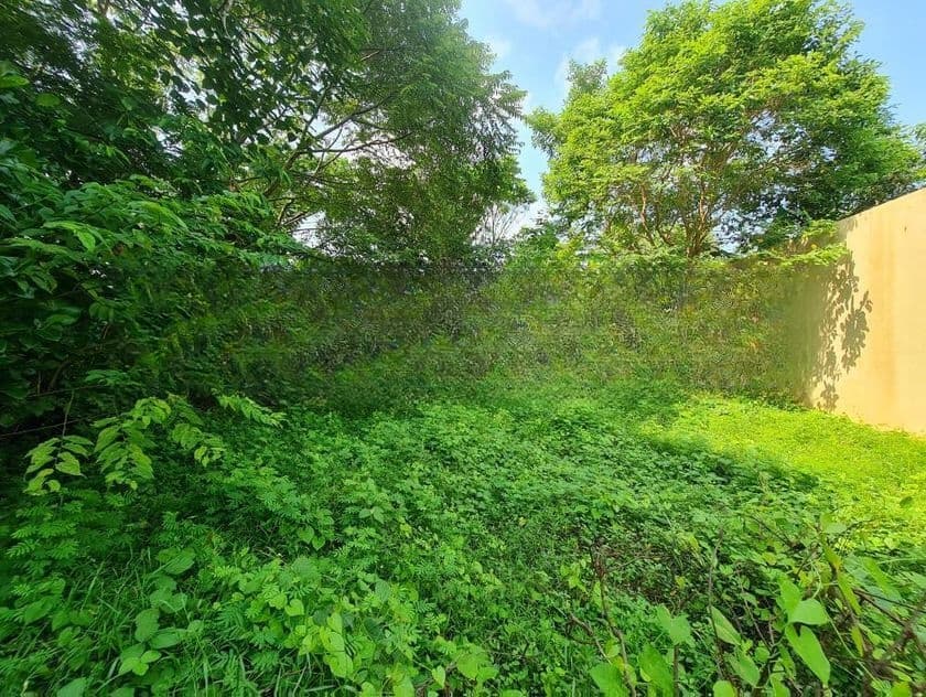 12.50P Bare Land For Sale In Mount Lavinia