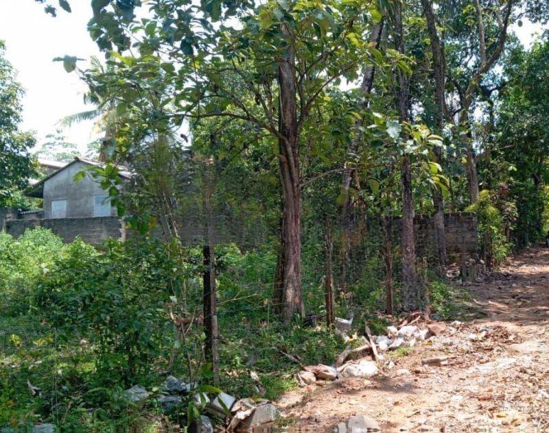 Residential Land for Sale - Thalawathugoda | LKR 69,000,000