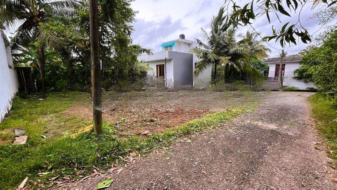 පිළියන්දලින් ඉඩමක් විකිණීමට