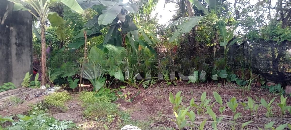 Best Land for Sale Talawathugoda