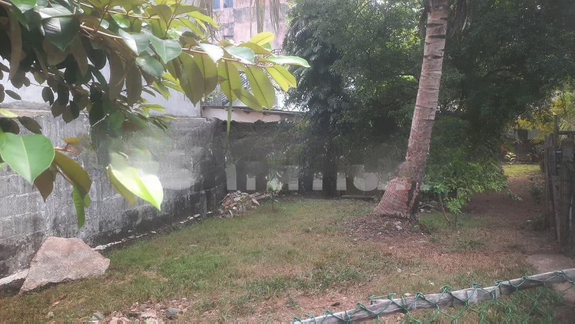 Dehiwala Nadimala Land for Sale ( RS - 663)