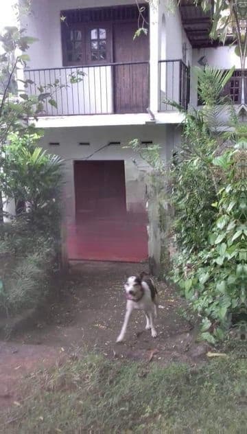 Prime Residential Land with House for Sale – Pitipana Junction, Homagama